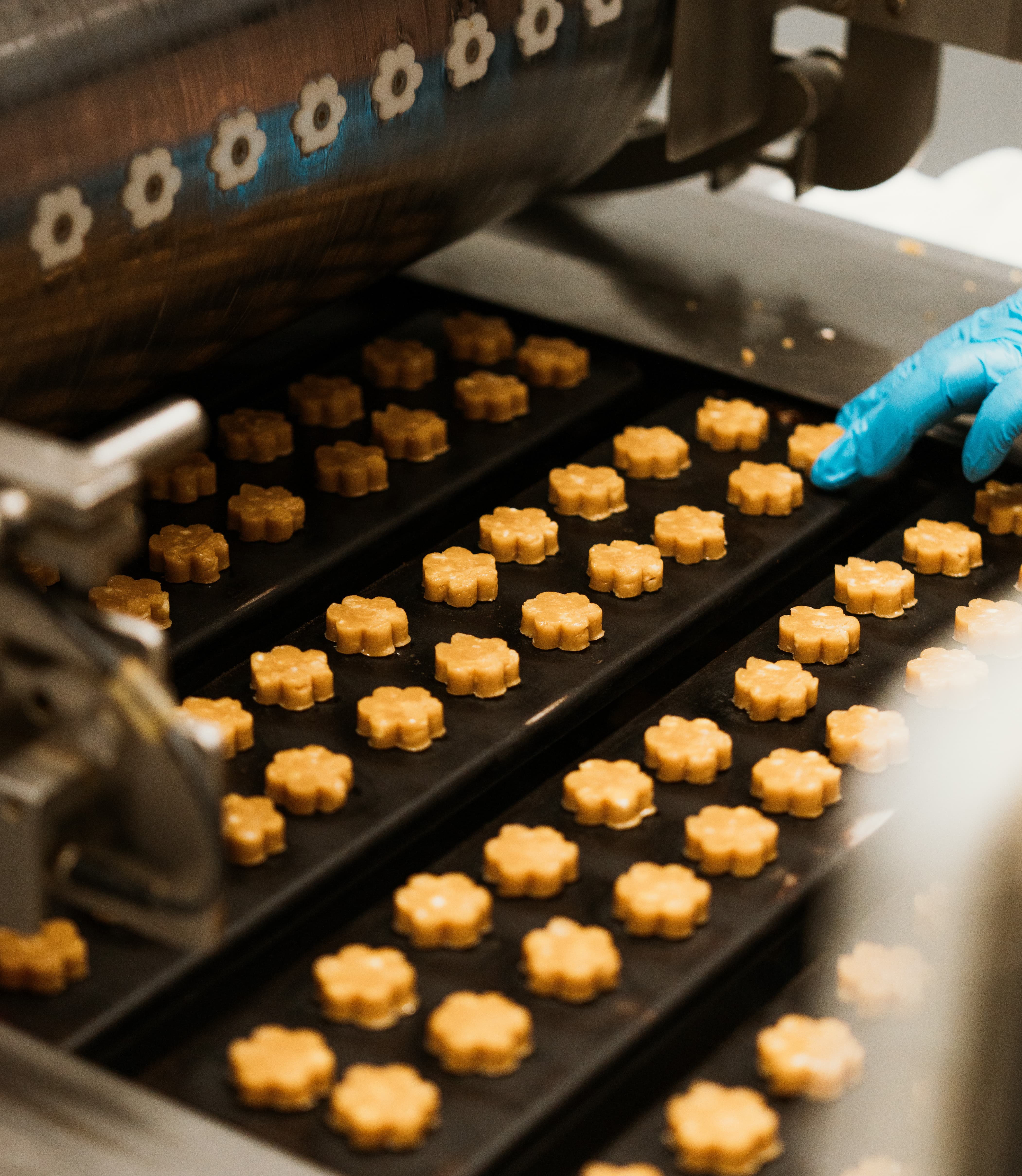 Bitesize Group biscuit preparation behind the scenes