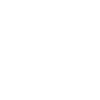 Cat and Fiddle