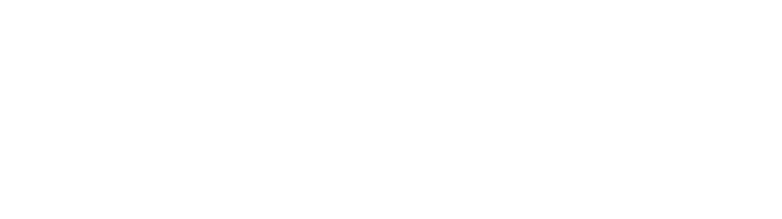 Laneway Hotel & Sports Bar